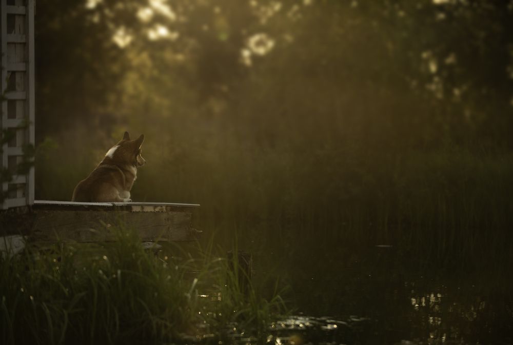 Photograph by Анна Орлова