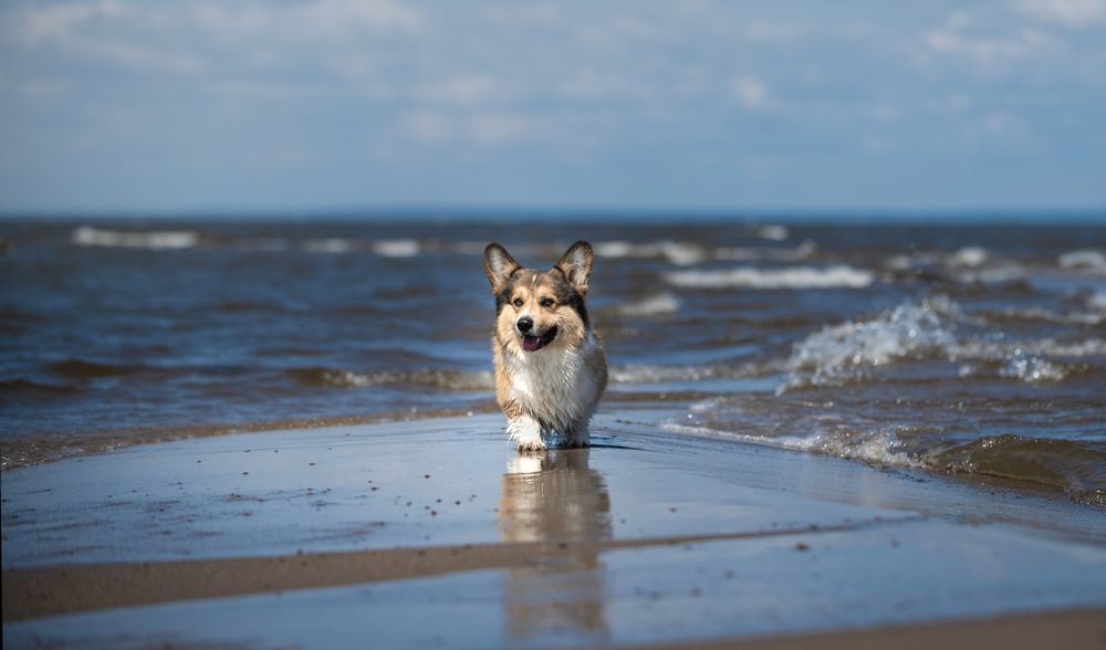 Photograph by Анна Орлова