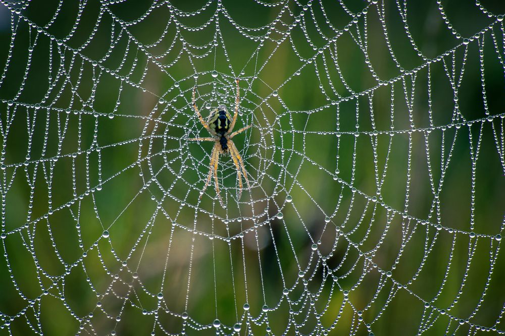 Photograph by Александр Рудный