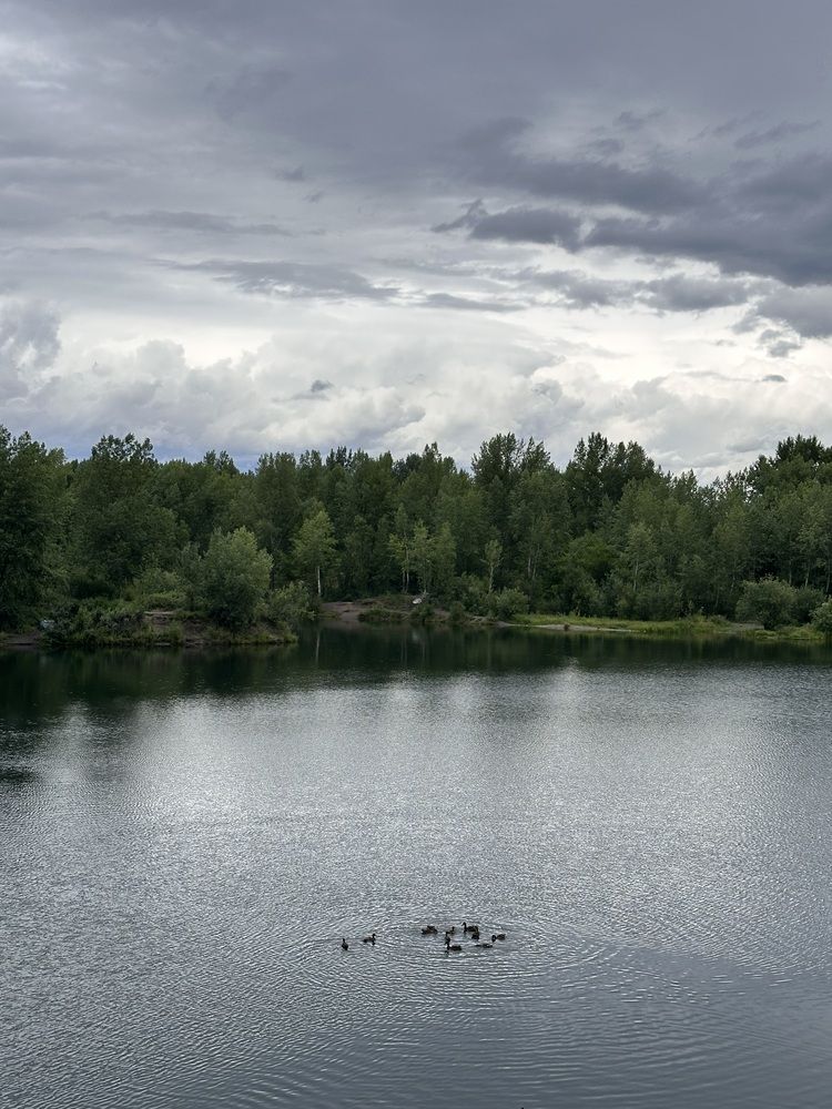 Photograph by Svetlana Tolkunova