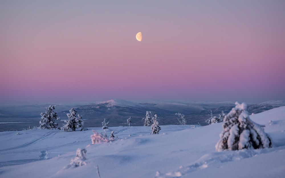 Photograph by Mika Mgla