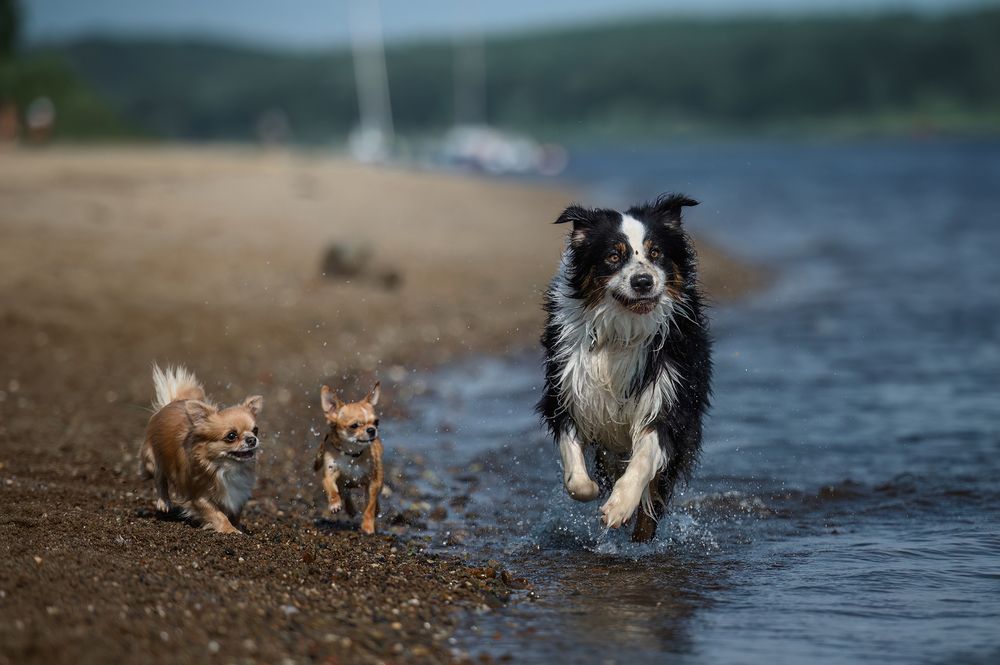 Photograph by Алексей Соколов