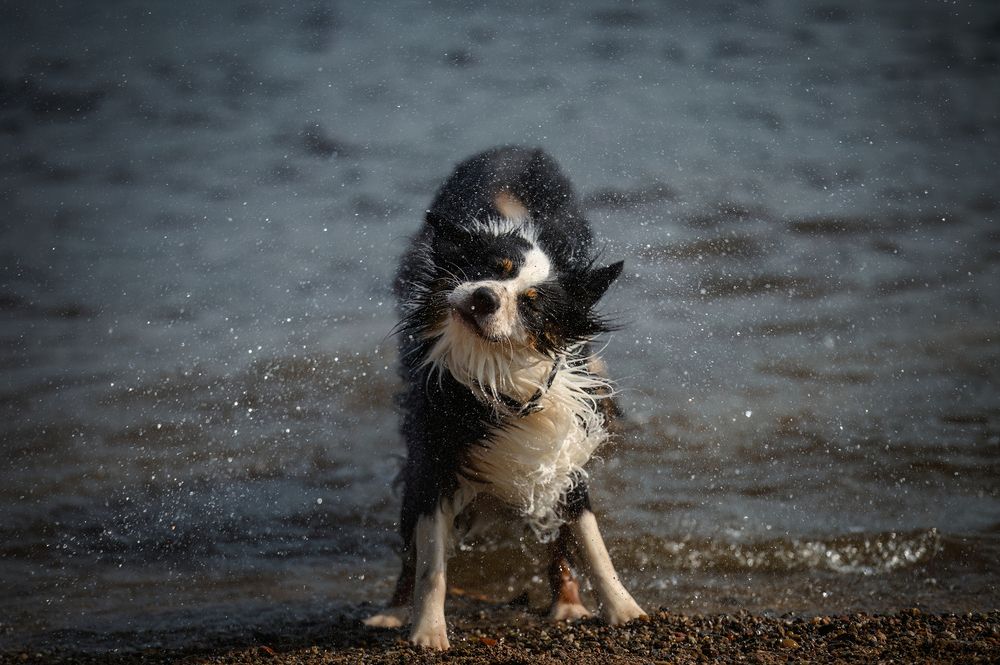 Photograph by Алексей Соколов