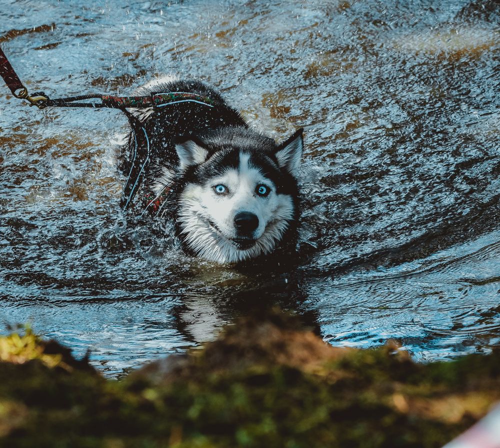 Photograph by Ольга Лобова