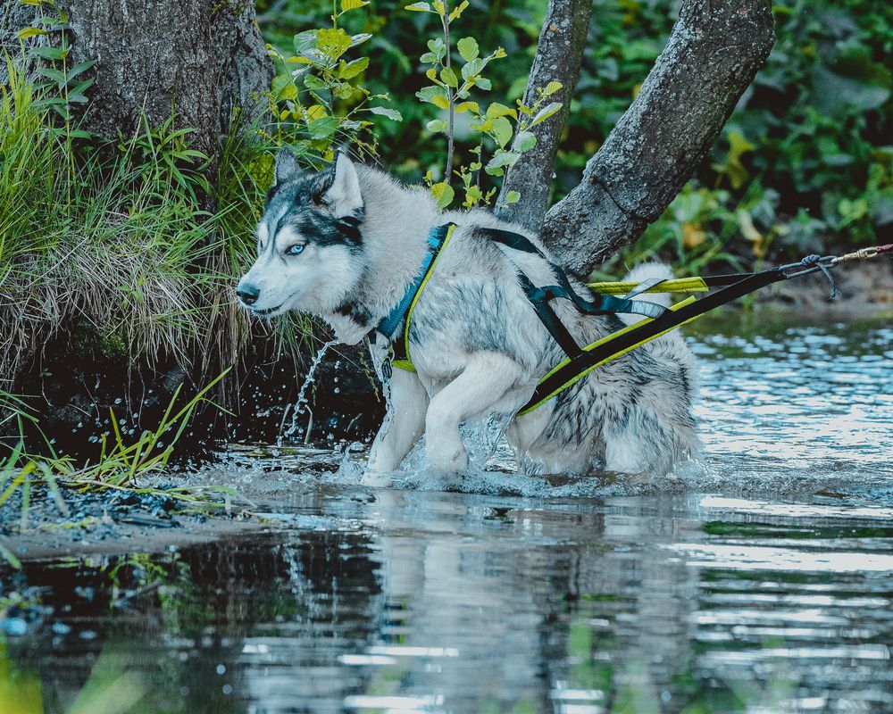 Photograph by Ольга Лобова