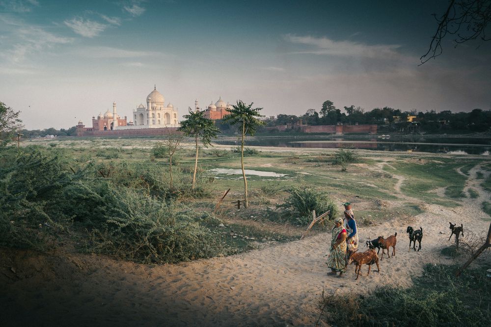 Сказка и реальность