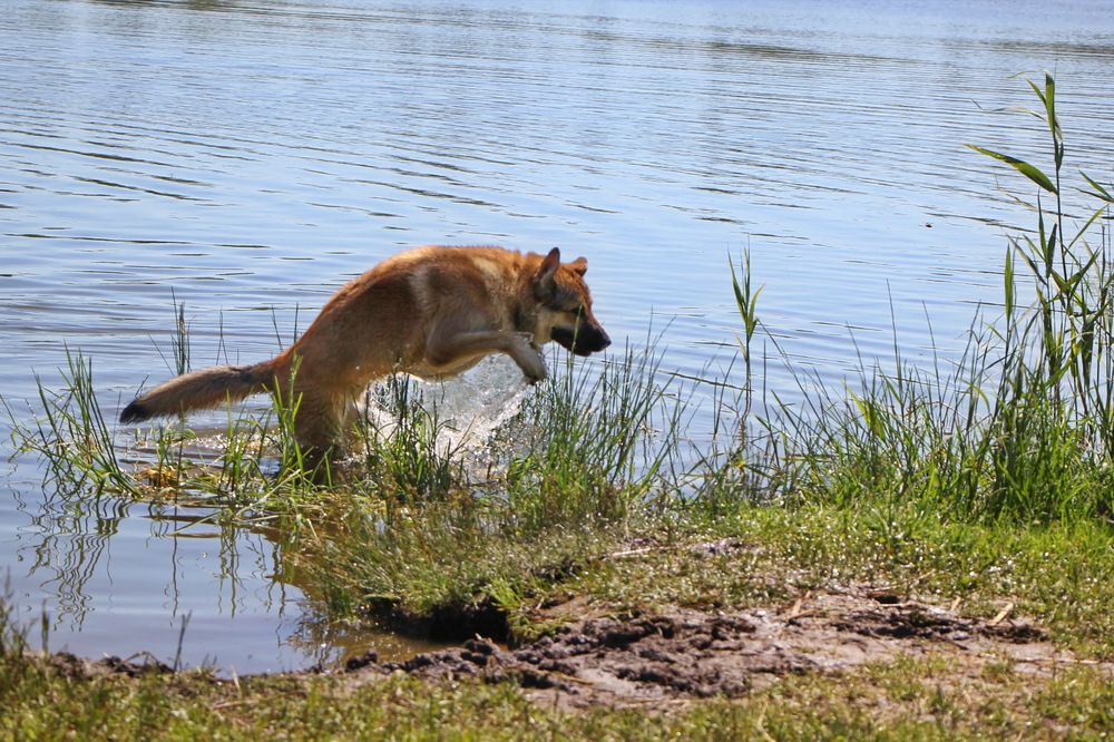 Фотография автора Анатолий Борисов
