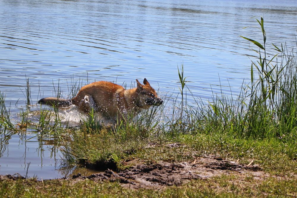 Фотография автора Анатолий Борисов