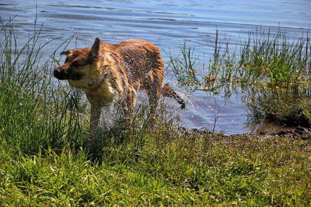 Фотография автора Анатолий Борисов