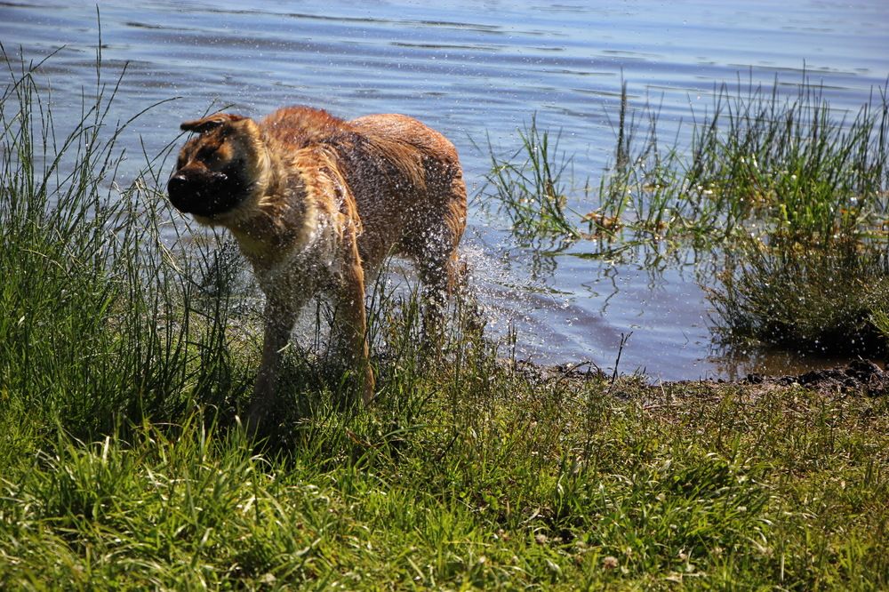 Фотография автора Анатолий Борисов