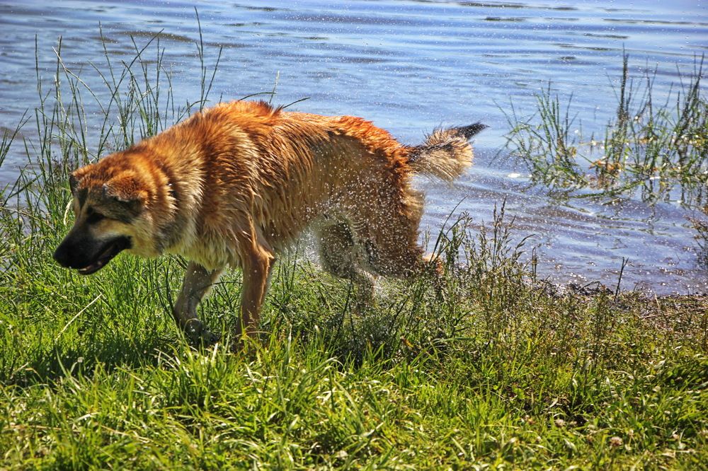 Фотография автора Анатолий Борисов