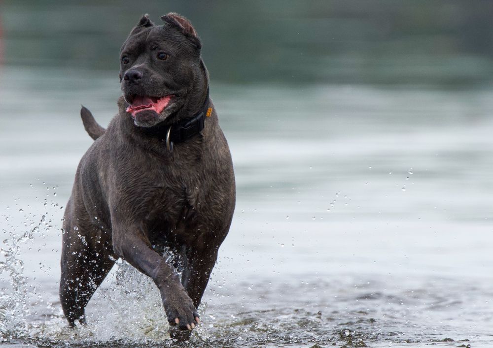 Фотография автора Viktoriya Kim