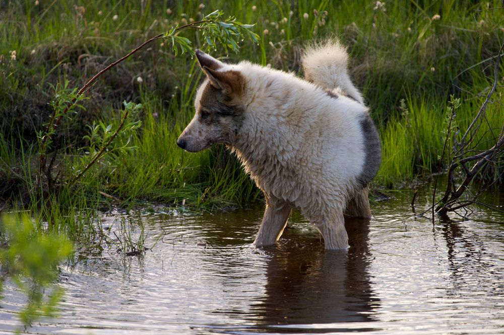 Фотография автора Viktoriya Kim
