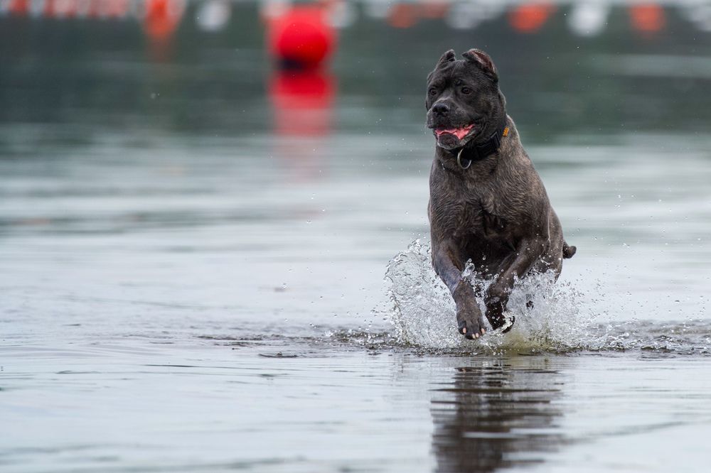 Фотография автора Viktoriya Kim