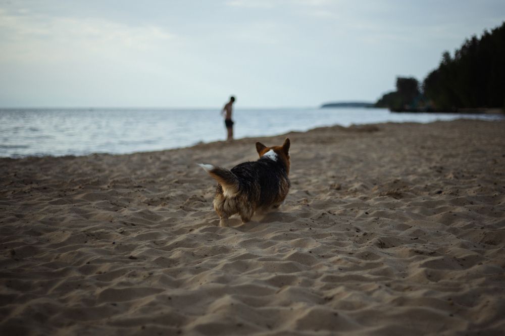 Photograph by Софья Титова