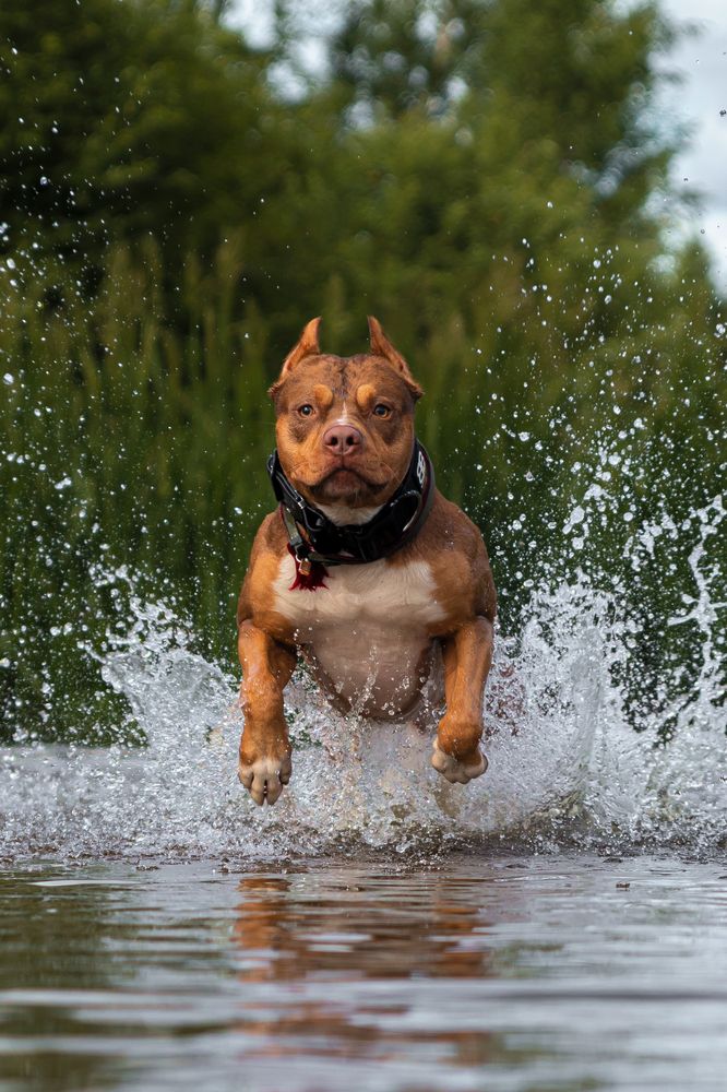 Photograph by Наталья Носова (Кучеренко)