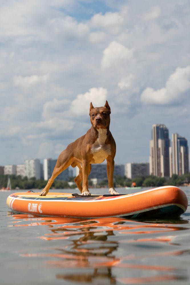 Photograph by Наталья Носова (Кучеренко)