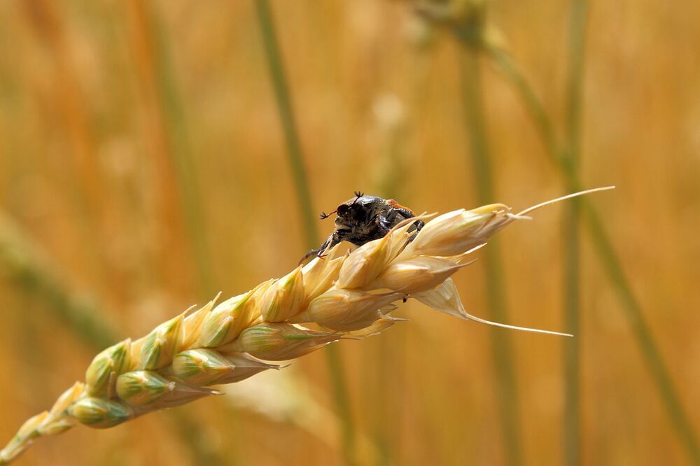 Photograph by Юрий Варюхин