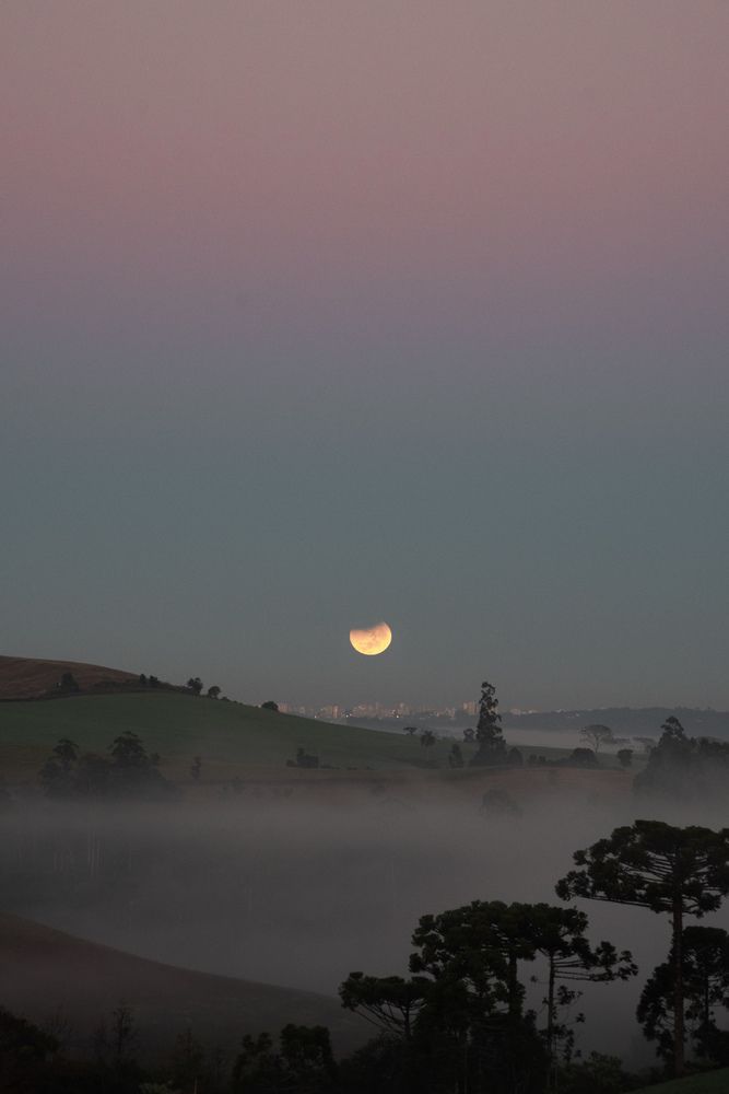 Photograph by Mateus Campos Felipe