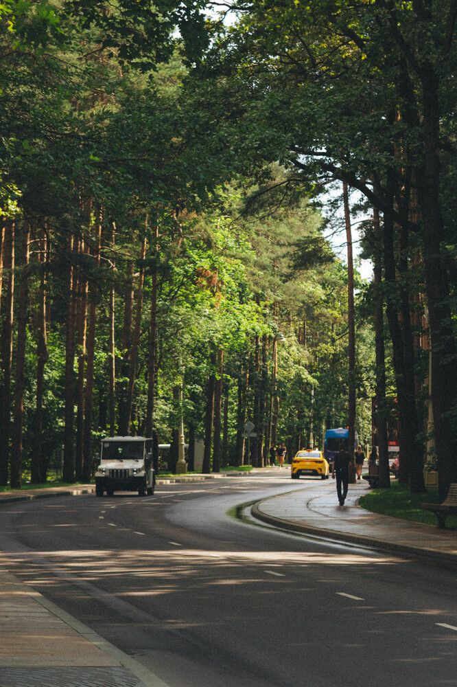 Photograph by Алина