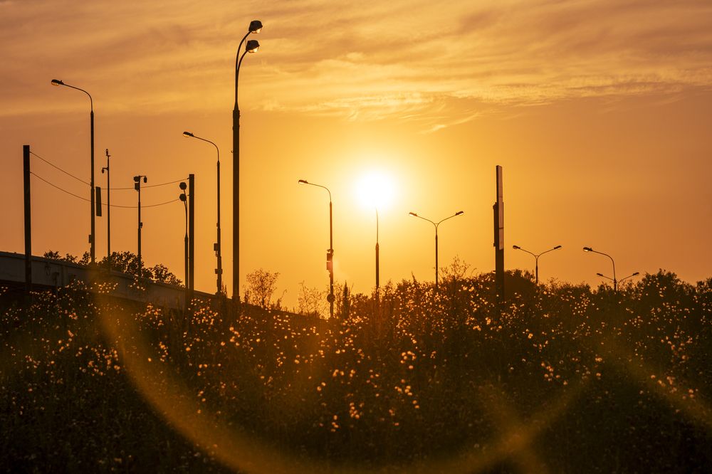 Photograph by Милена Полтавец