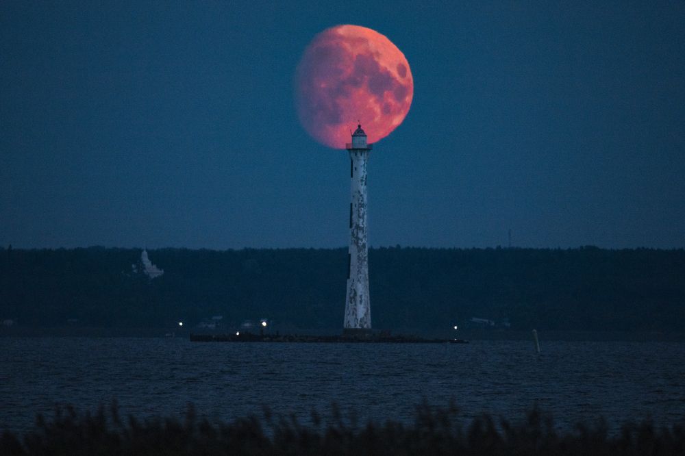 Photograph by Ксения Зайцева