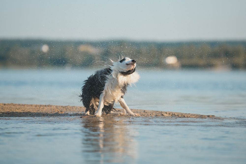 Photograph by Алена Ковалёва