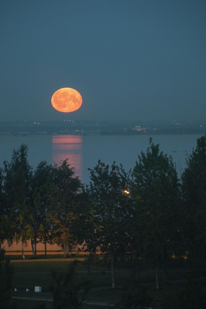 Фотография автора Ксения Зайцева