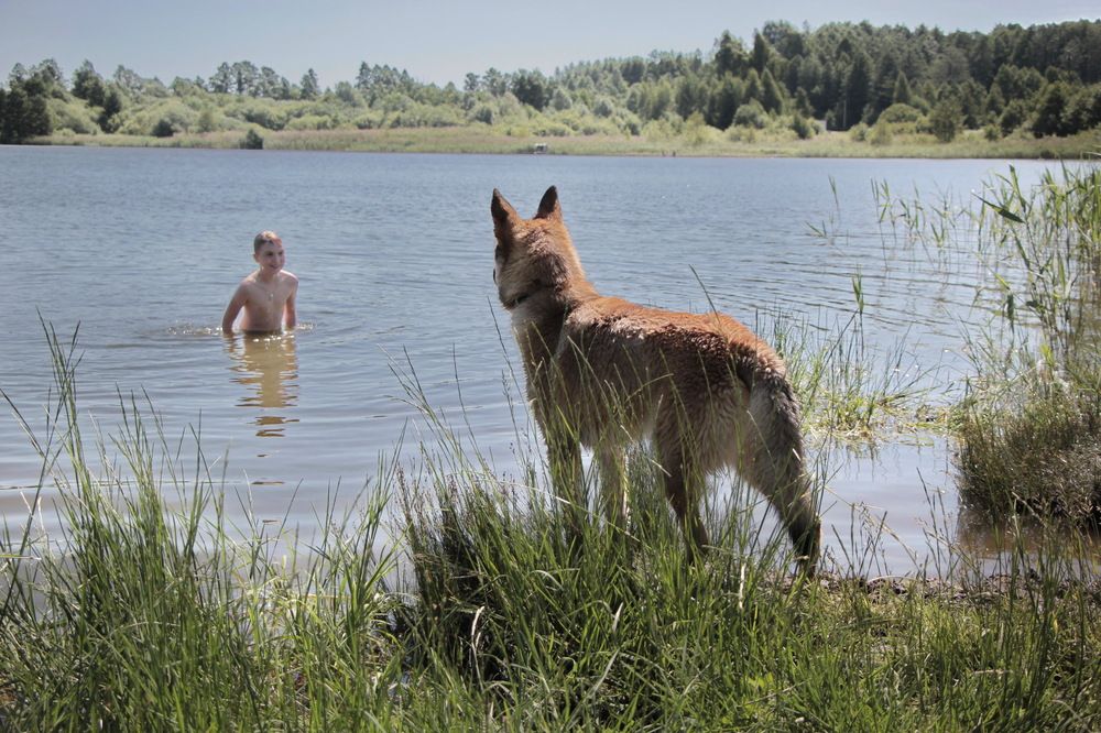 Фотография автора Анатолий Борисов