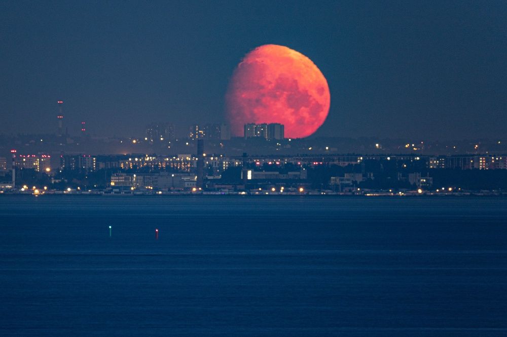 Фотография автора Ксения Зайцева