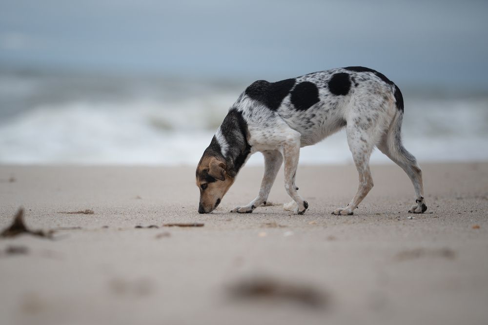 Photograph by Karoline Palme