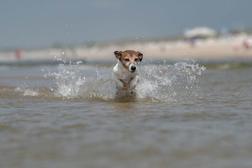 Photograph by Karoline Palme