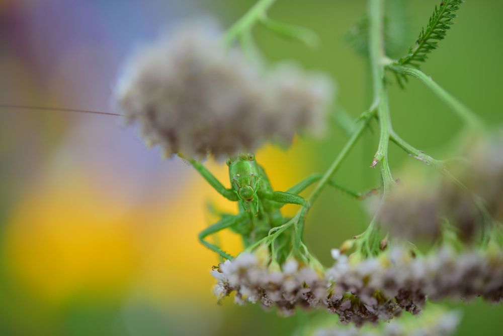 Photograph by Ольга Гоглова