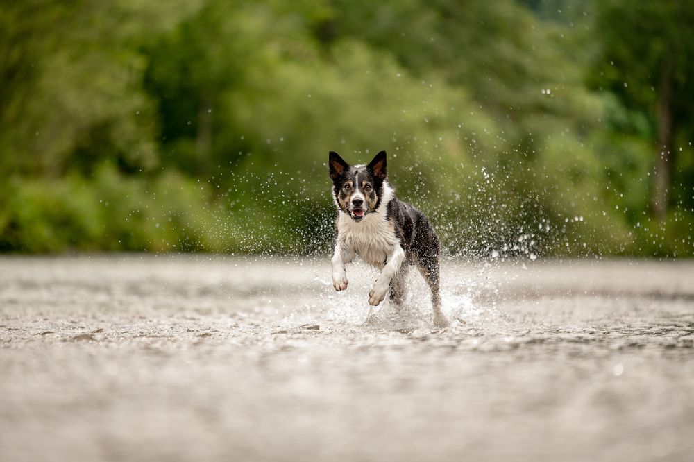 Photograph by Karoline Palme