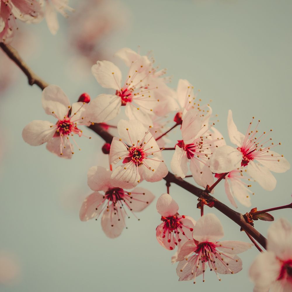 Photograph by alex.a3397