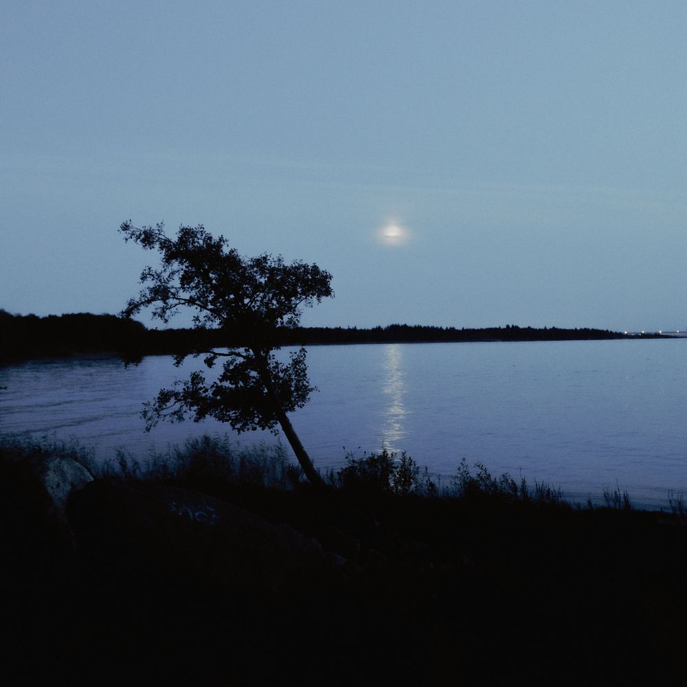 Photograph by Илья Мельников