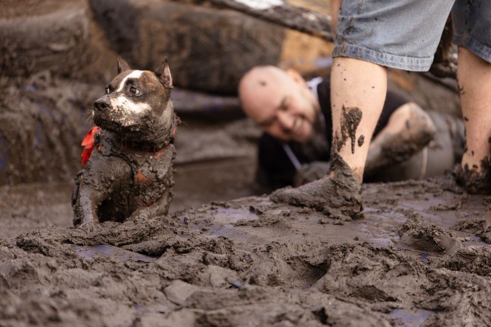 Photograph by Ольга