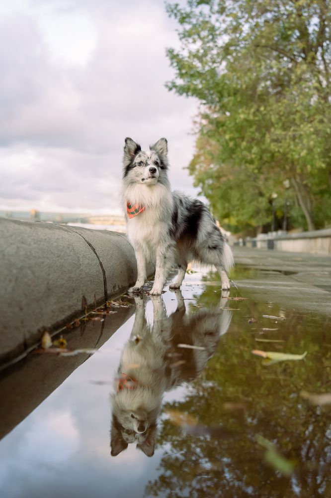Photograph by Марина Суздаль
