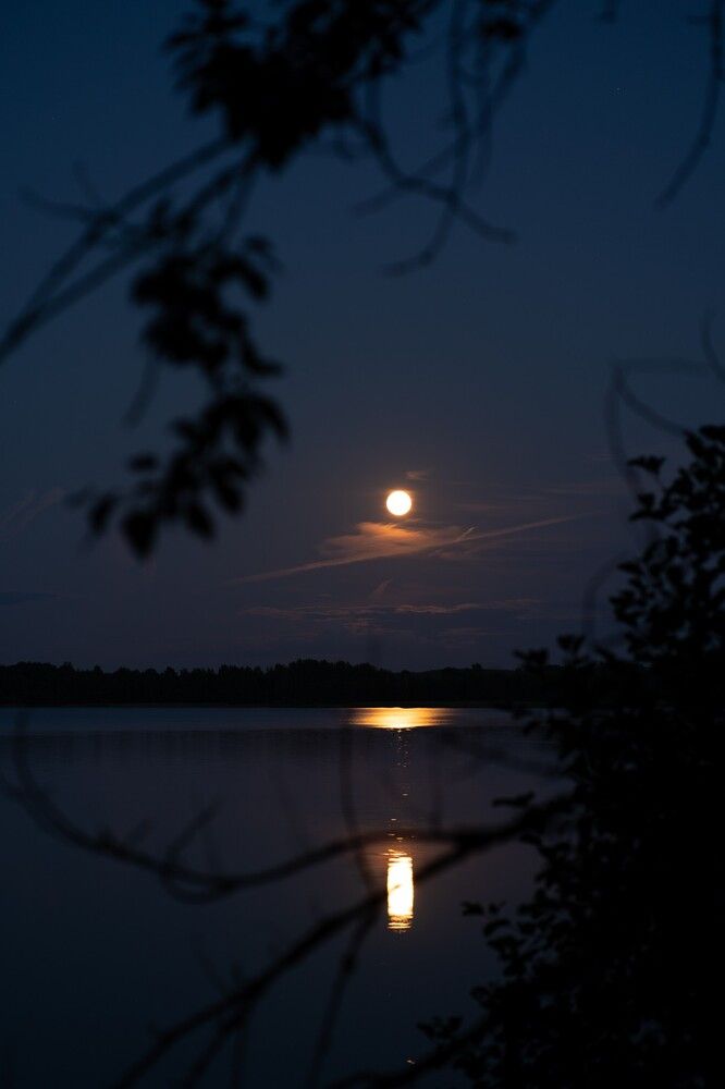 Photograph by Екатерина Одинцова