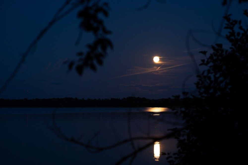 Photograph by Екатерина Одинцова