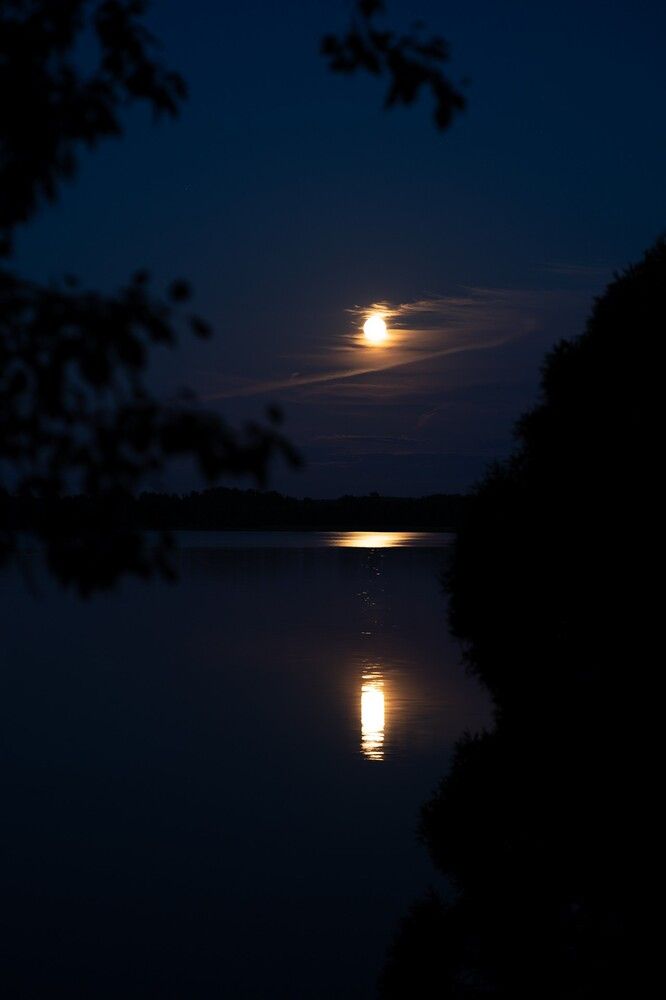 Photograph by Екатерина Одинцова