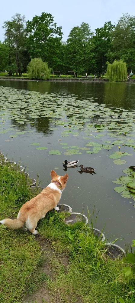 Photo #12442078