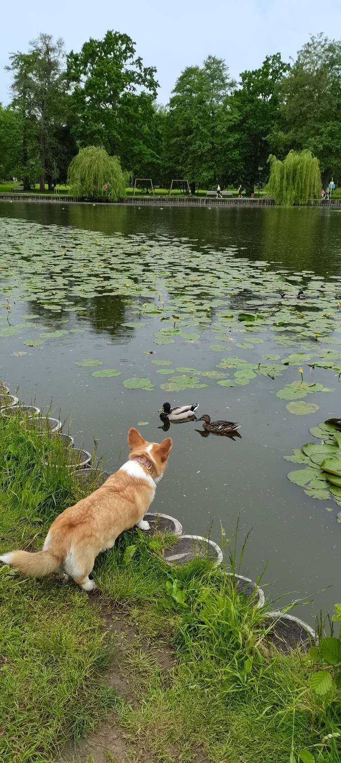 Photo #12442078