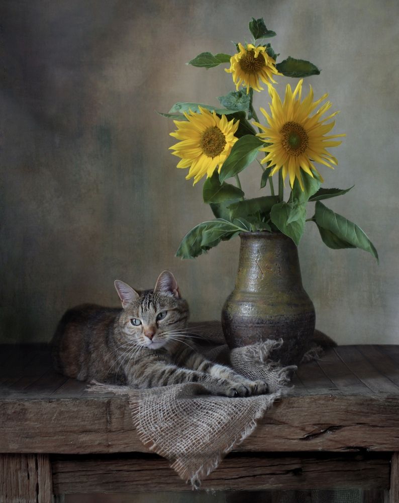 Photograph by Кира Иванова