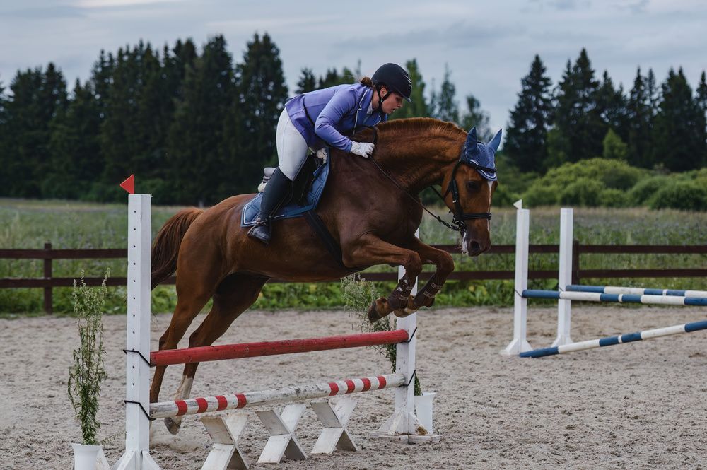 Photograph by Алексей Соколов