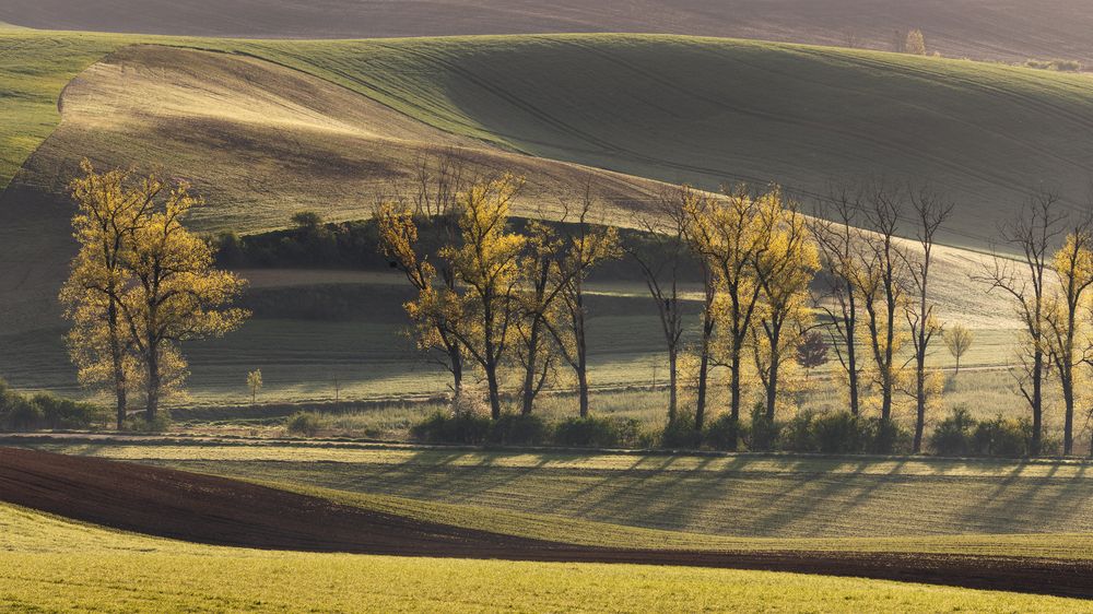 Фотография автора Jiří Hakauf
