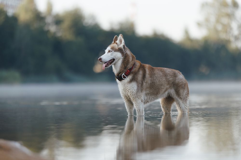 Photograph by Жаренко Евгения