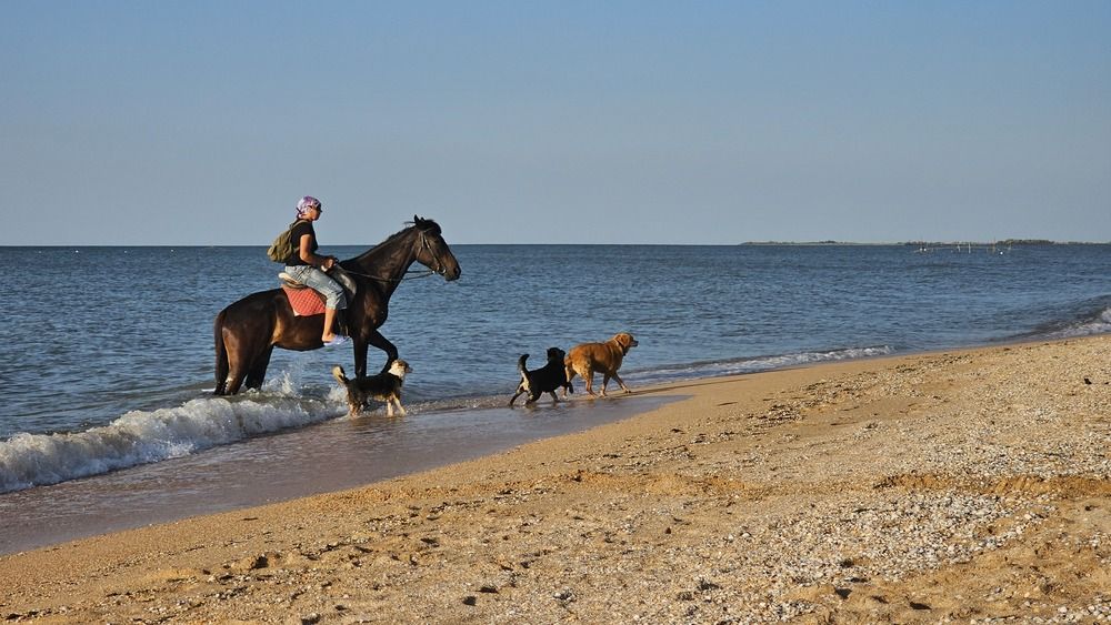 Photograph by Степан Макрушин