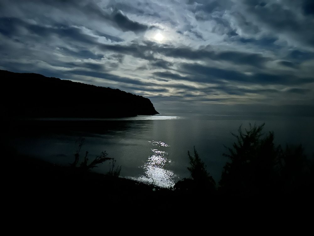 Photograph by Игорь Павель