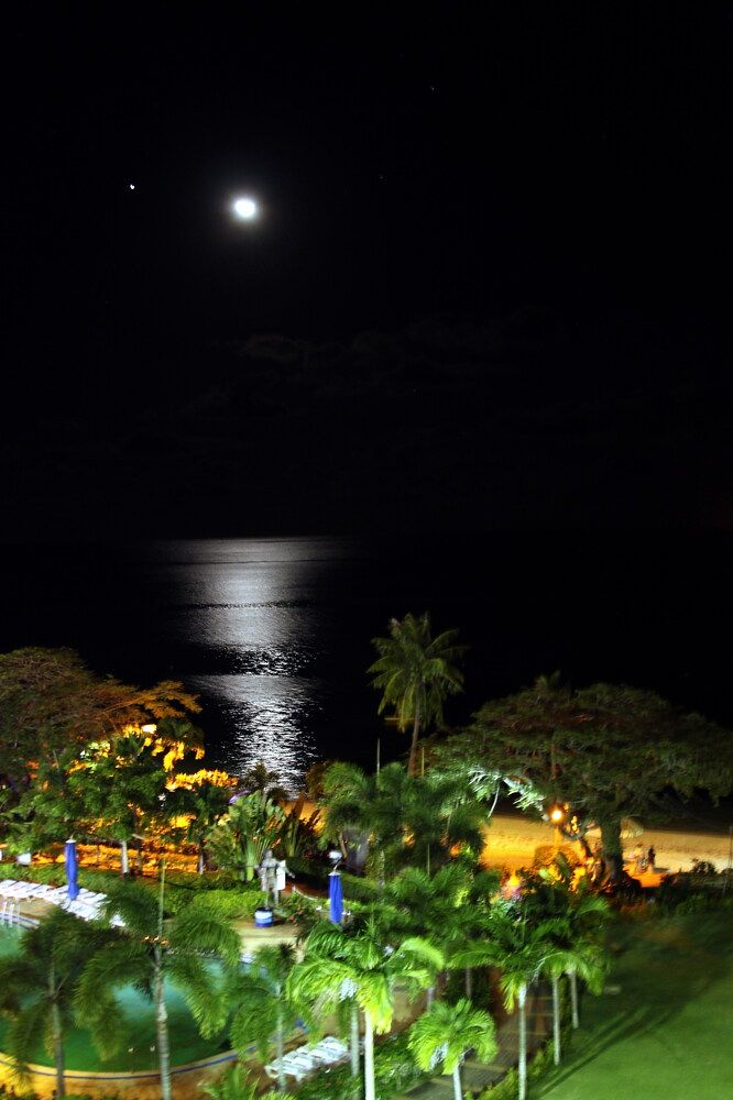 Photograph by Игорь Павель